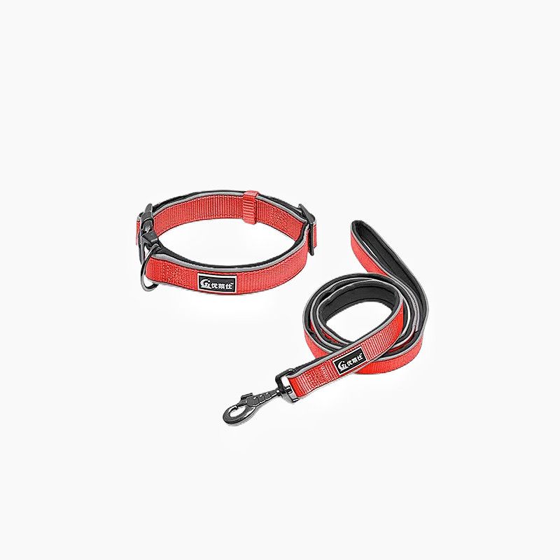 Ulaishi Golden Panda Pet Supplies Guinzaglio 3M Collare Riflettente Corda per Cani Impermeabile Durevole_voghion.com