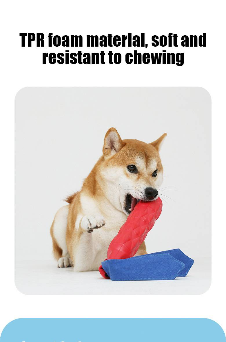 Giocattoli per animali domestici palla da addestramento schiumogena per cani resistente al morso per la dentizione, suono, sonaglio, carta da lancio all'aperto_voghion.com