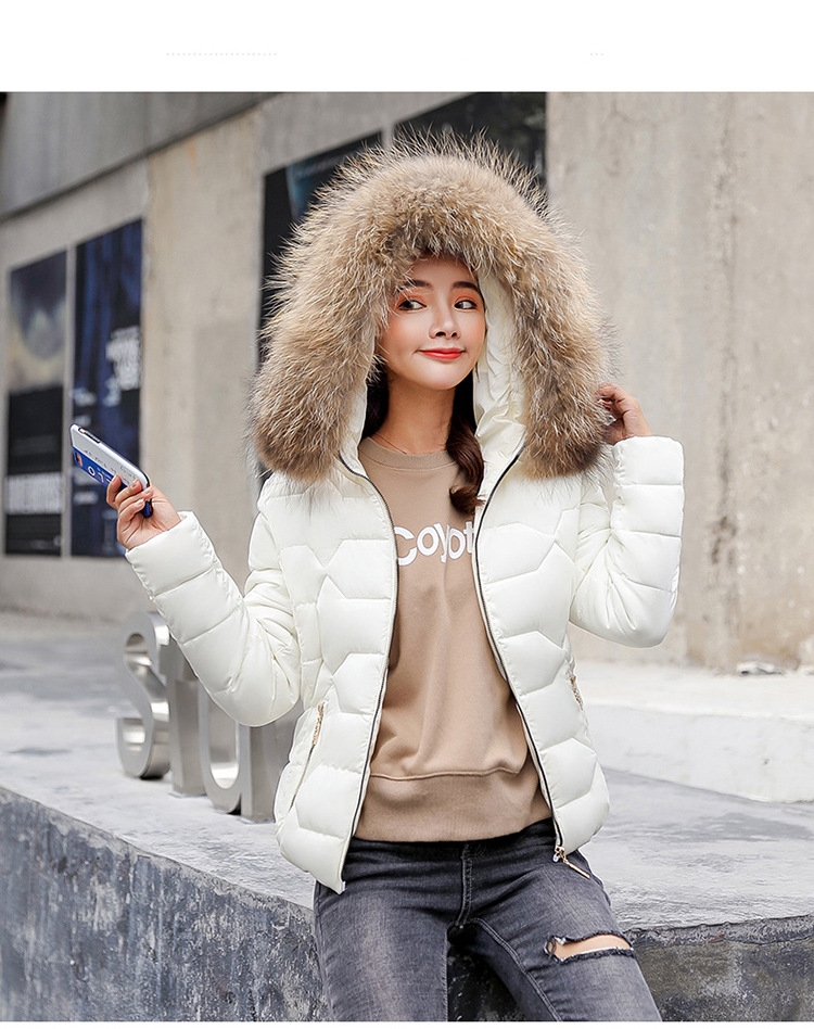 Dameskleding, korte gewatteerde jas met capuchon van imitatiebont, slim fit winterjas, warme gewatteerde bovenkleding voor vrije tijd en woon-werkverkeer (wit, grijs, zwart, roze)_voghion.com