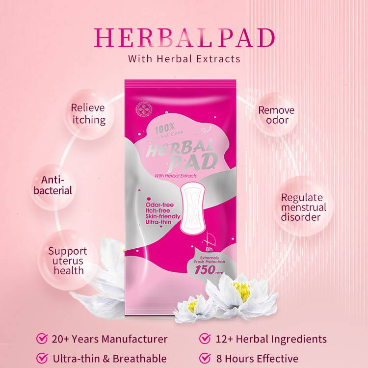 Prof.Ding Removing Itching And Odor Cleaning Natural Herbal Wingless Pads Period Pads For Women Menstrual Feminine Care_voghion.com