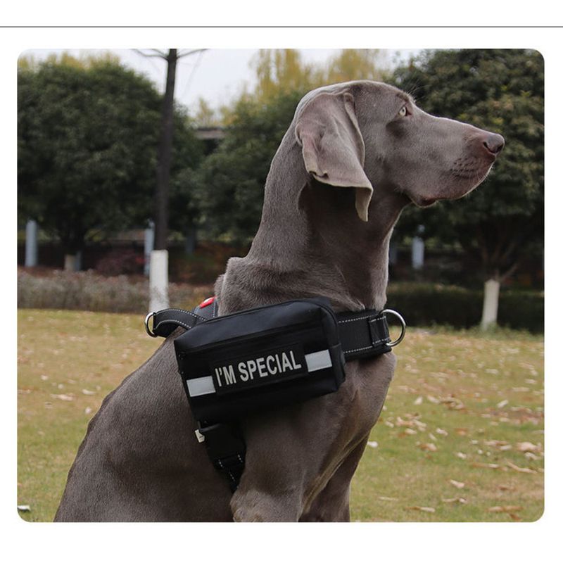 Dog For Medium And Large Dogs Training Bag Outdoor Portable Magic Tape Tactical Small Backpack_voghion.com