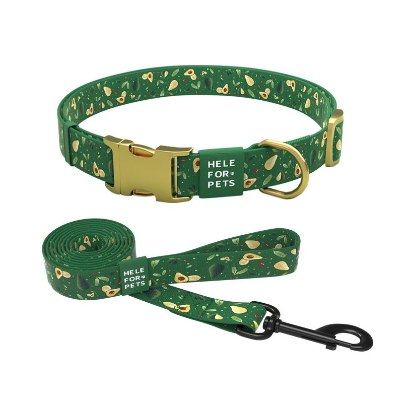 Nuovo design, set di guinzagli per cani con motivo avocado, collare regolabile per esterni_voghion.com