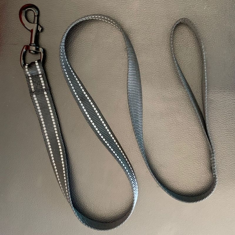 Leash Chain Small And Medium-sized Pet Reflective Rope Dog Supplies_voghion.com