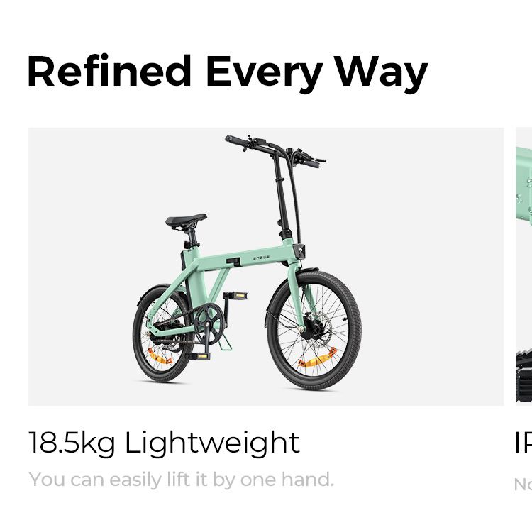 Bicicletta elettrica pieghevole ENGWE P20 da 20 pollici, motore con sensore di coppia da 250 W, batteria da 36 V e 9,6 Ah, freni a disco idraulici, bicicletta elettrica_voghion.com