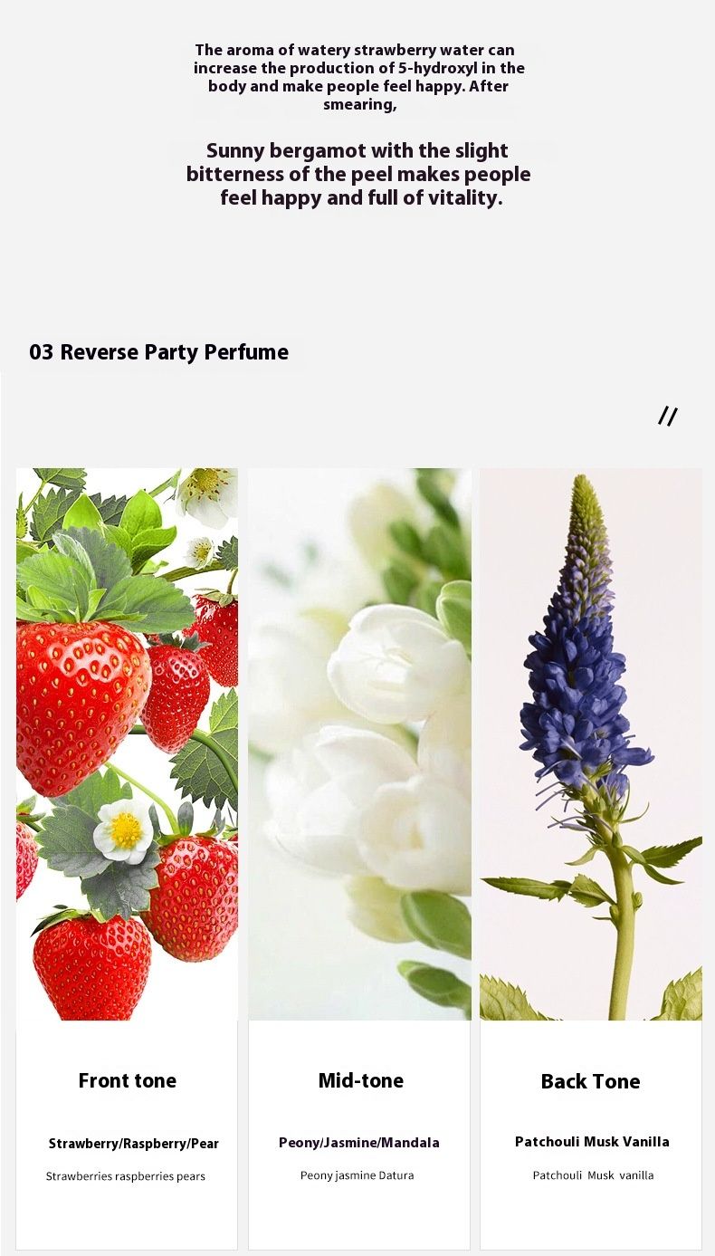 Neie Parfum Small City Yixiang Mark Heart Language Kaddosbox Damenparfumset Haltbaren Duft Populäre Vietnam Parfum_voghion.com