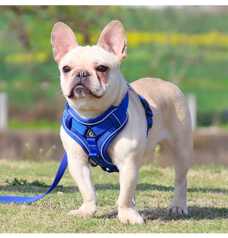 Pet Products Dog Traction Rope Vest Pet Cat Chest Harness Reflective Breathable Cat Walking Rope Puppy Rope_voghion.com