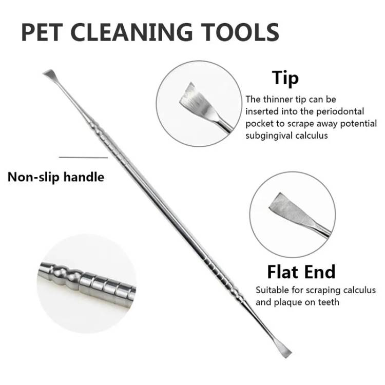 Dog Decalcification Tip Scraper Pet Teeth Cleaning Tool_voghion.com
