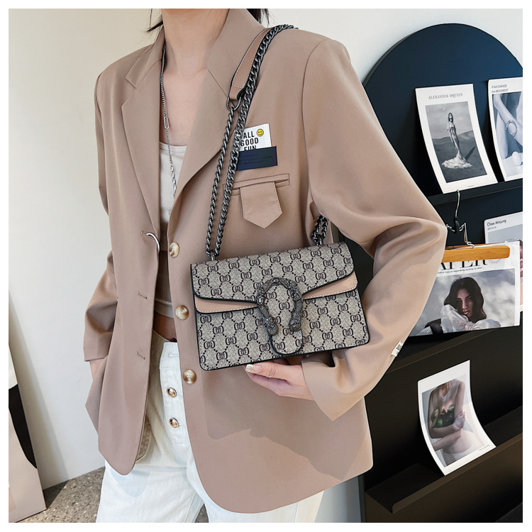 Fashionable Dionysian Bag For Women 2024 New Retro Printed Chain Bag Popular Armpit Bag Diagonal Shoulder Small Square Bag_voghion.com