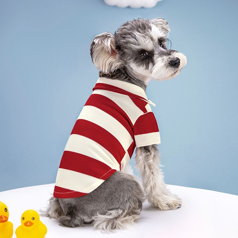 2023 Nya Hund Vår- och Sommarpolotröja Randig Pärlhalsband Elastisk T-shirt Katt Randiga Kläder_voghion.com