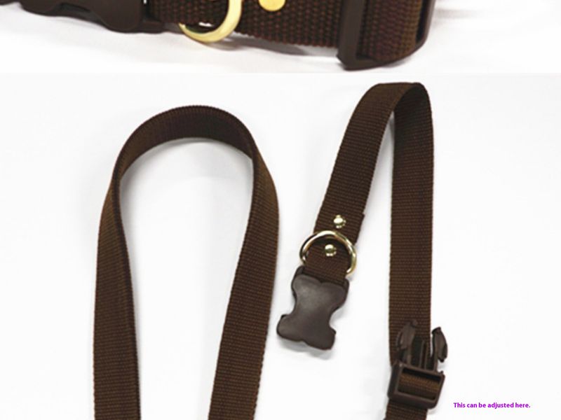 2022 New Solid Color Retractable Dog Running Pet Leash_voghion.com