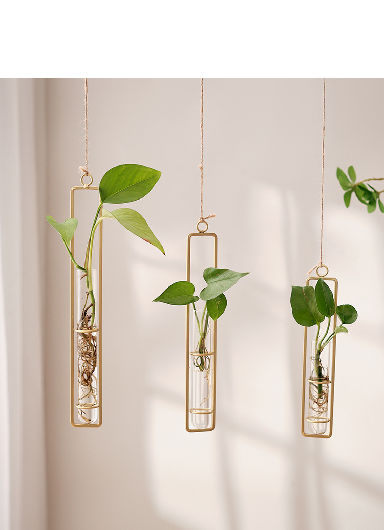 Décoration murale décorative pour la maison, vase en verre créatif pour salon, plante de radis vert, récipient à eau, décoration murale_voghion.com