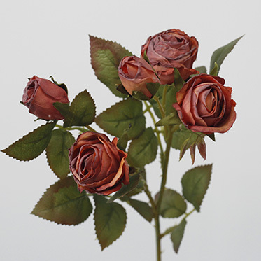Retro gebrannt Kant dréchen kënschtlech Blummen Seideblummen Imitatioun gedréchent Blummen Rosen 5-Käpp Rose Blummenarrangement_voghion.com