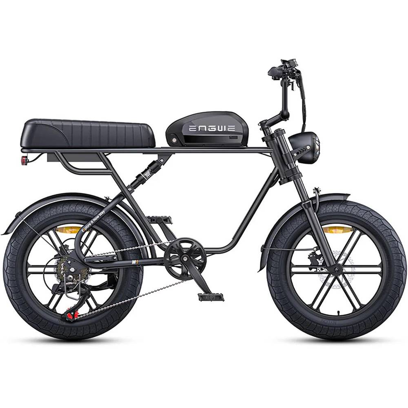 ENGWE M1 Dirt Bike elettrica da 20 pollici con batteria da 48 V15,6 Ah, mountain bike a sospensione completa da 250 W_voghion.com