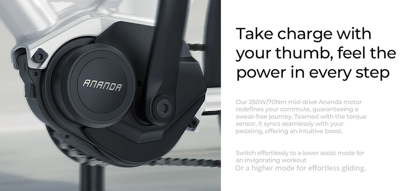 ENGWE P275 ST 250W Mittelmotor-Elektrofahrrad für Pendler, 19,2 Ah Samsung-Zelle_voghion.com