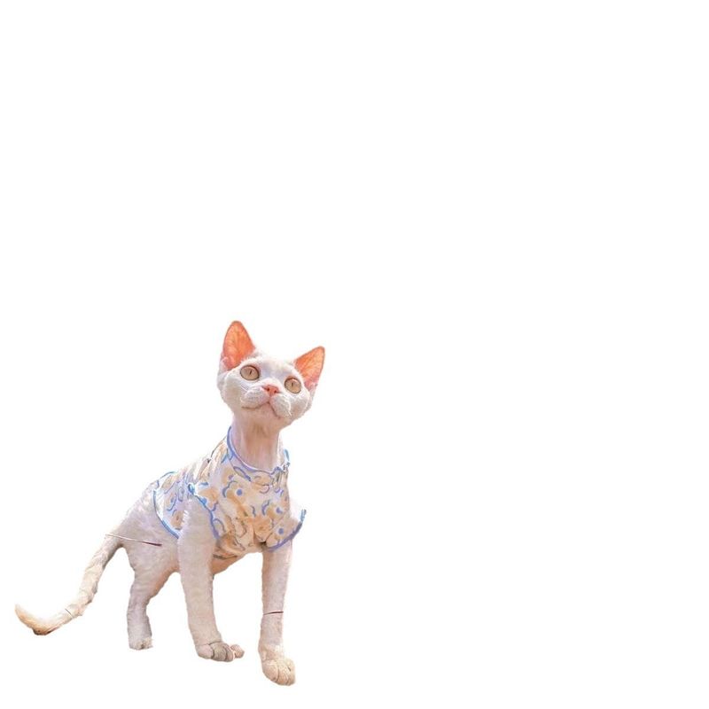Hot Sale Summer Japanese And Korean INS Hairless Cat German Ragdoll Same Style Pet Clothes_voghion.com