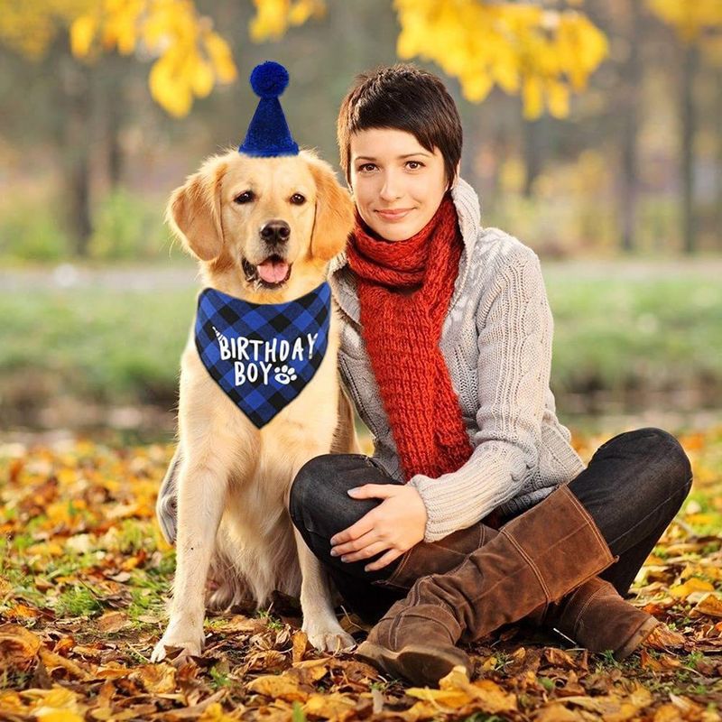 Dog Party Supplies Pet Birthday Hat Headband Set_voghion.com