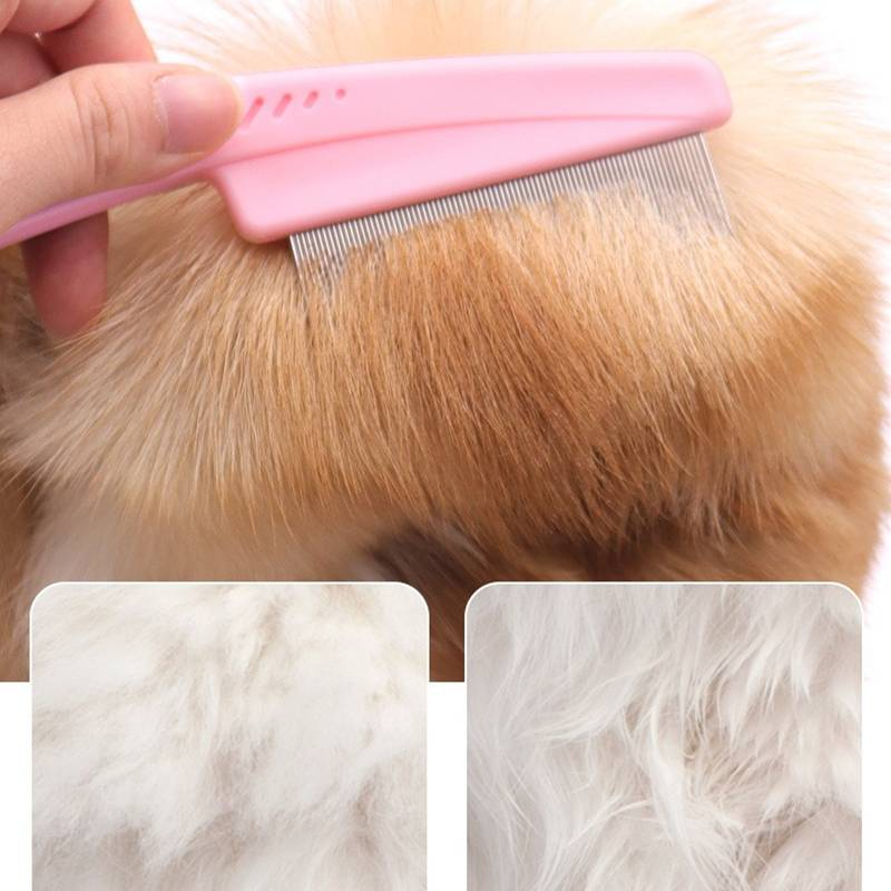 Pet Supplies Cat And Dog Specific Comb_voghion.com