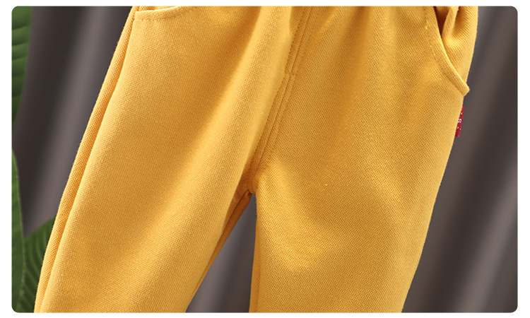 Pull à manches longues pour garçons et filles, vêtements pour enfants, à la mode, saison printemps et automne, ensemble deux pièces, nouvelle collection_voghion.com