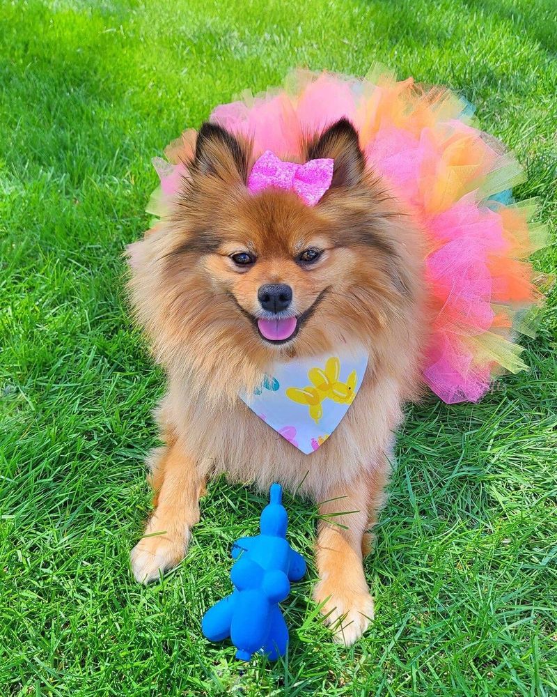 Mittelgroßes Hundeparty-Outfit, Halloween-Haustierkostüm-Set, entzückendes pelziges Kinder-Tüllkleid_voghion.com