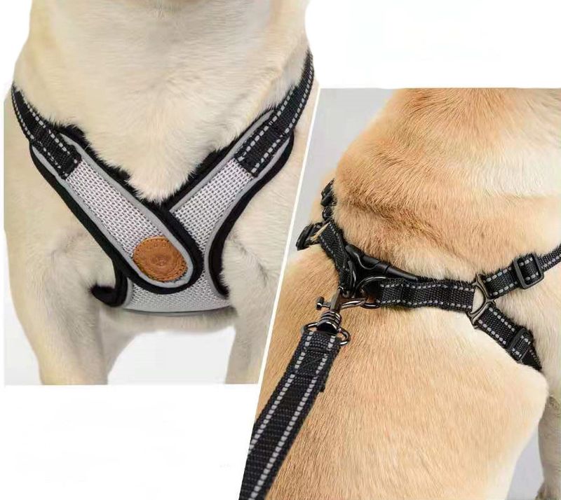 Pet Chest Harness Leash Set Walking Rope Cat Chain Dog Anti-Pull Adjustable_voghion.com