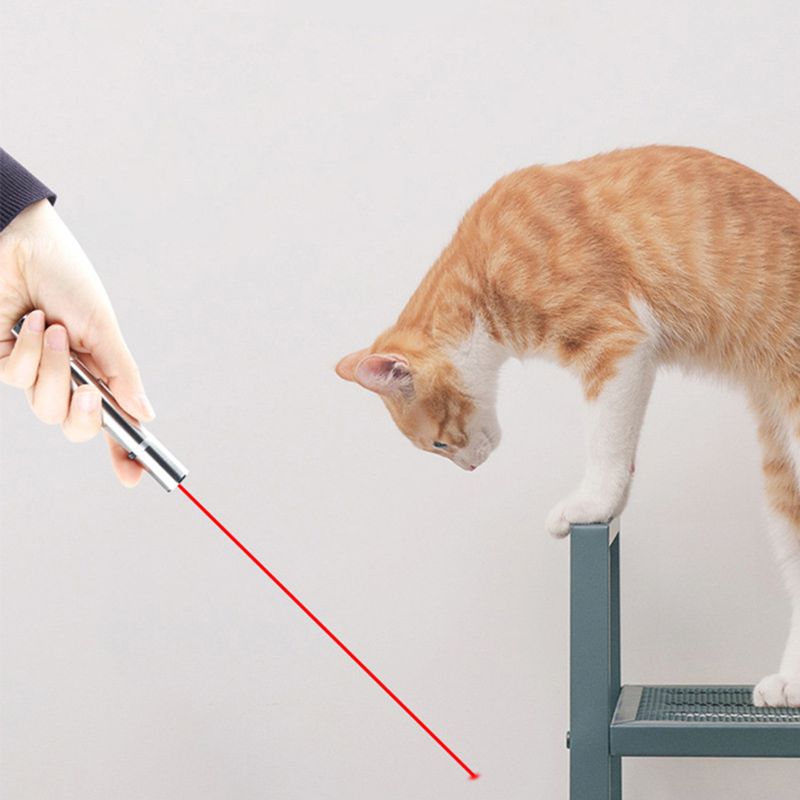 Guangying Lustiges Haustier-Katze-LED-Licht, Zeigerstift, Teaser, USB-Taschenlampe, Kätzchen, interaktives Spielzeug_voghion.com