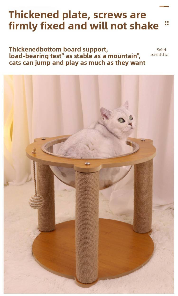 Piccola capsula spaziale in acrilico per gatti, struttura per arrampicata per gatti, tiragraffi per gatti, albero per gatti, cuccia integrata per gatti, tiragraffi per gatti, gabbia per gatti_voghion.com