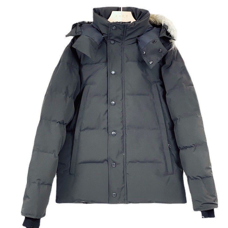Men’s Premium Winter Parka With Genuine Coyote Fur Trim – 550FP White Duck Down, Waterproof & Windproof Shell, Detachable Hood, Slim Fit (XS-XXL)_voghion.com
