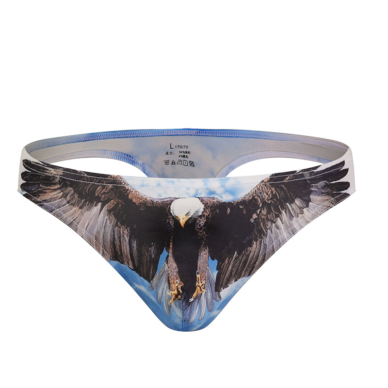 Men's Sexy Low Waist Printed U Convex Pouch Three-Dimensional Space T-Pants Thong_voghion.com