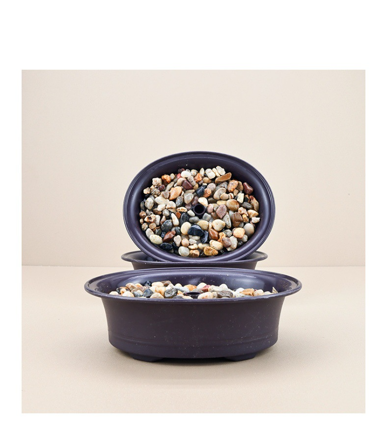 Wohnmöbel Bonsai Blumentopf schwarz einladender Kiefernsockel Innen-Desktop-Ornamente Zuhause Wohnzimmer grüne Pflanze Dekoration kleine Topfpflanze_voghion.com