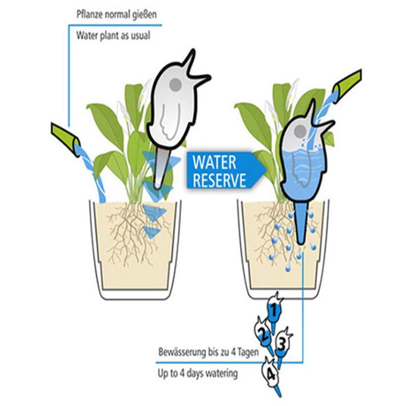 Korean-style Transparent Automatic Dripper Petal Flower Pot Automatic Watering Water Pot Bird-shaped Plant Lazy Flower Watering Kettle_voghion.com