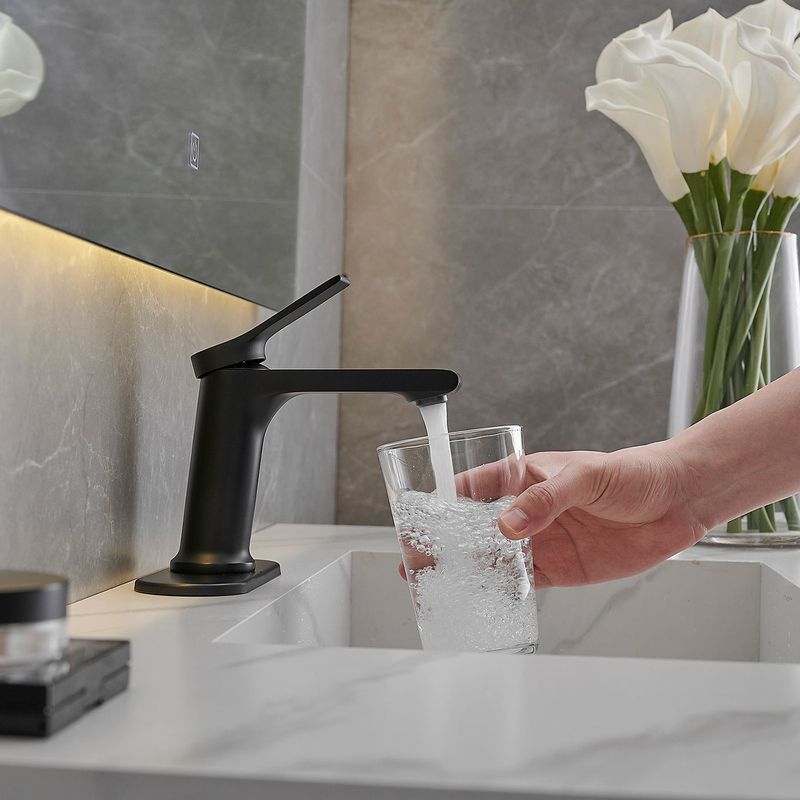 Single Hole Single-Handle Bathroom Faucet In Matte Black_voghion.com