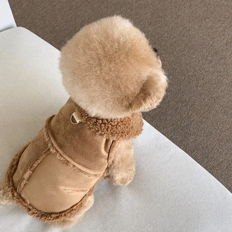 Chihuahua Accessories Dog Clothes Hoodie Dresses Small Pet Products By PawParty Store_voghion.com
