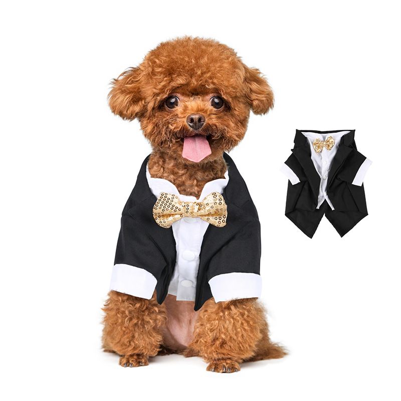 Vêtements pour chiots, smoking, robe de mariée, costume, Teddy, petit chien, vêtements pour animaux de compagnie_voghion.com