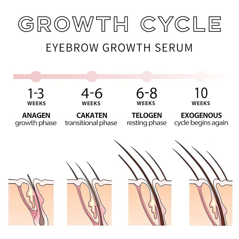 Siero trasparente per ciglia e sopracciglia Clubday - 3,8 ml - Potenziatore naturale della crescita per ciglia più folte, curve più lunghe e sopracciglia più folte_voghion.com