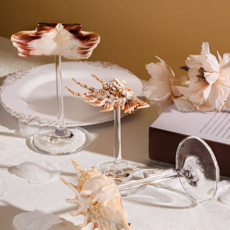 Portagioie squisito in vetro di vino con conchiglia naturale pura, utilizzato per decorare collane di gioielli, campanelli eolici per aromaterapia_voghion.com