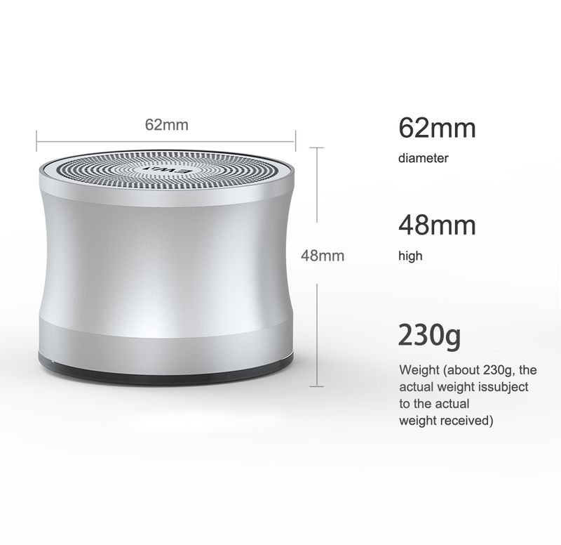 EWA A109 Wireless Bluetooth 5.0 Big Sound Bass, Altoparlanti portatili ad alto volume per esterni Supporta scheda Micro SD Altoparlante con corpo in metallo_voghion.com