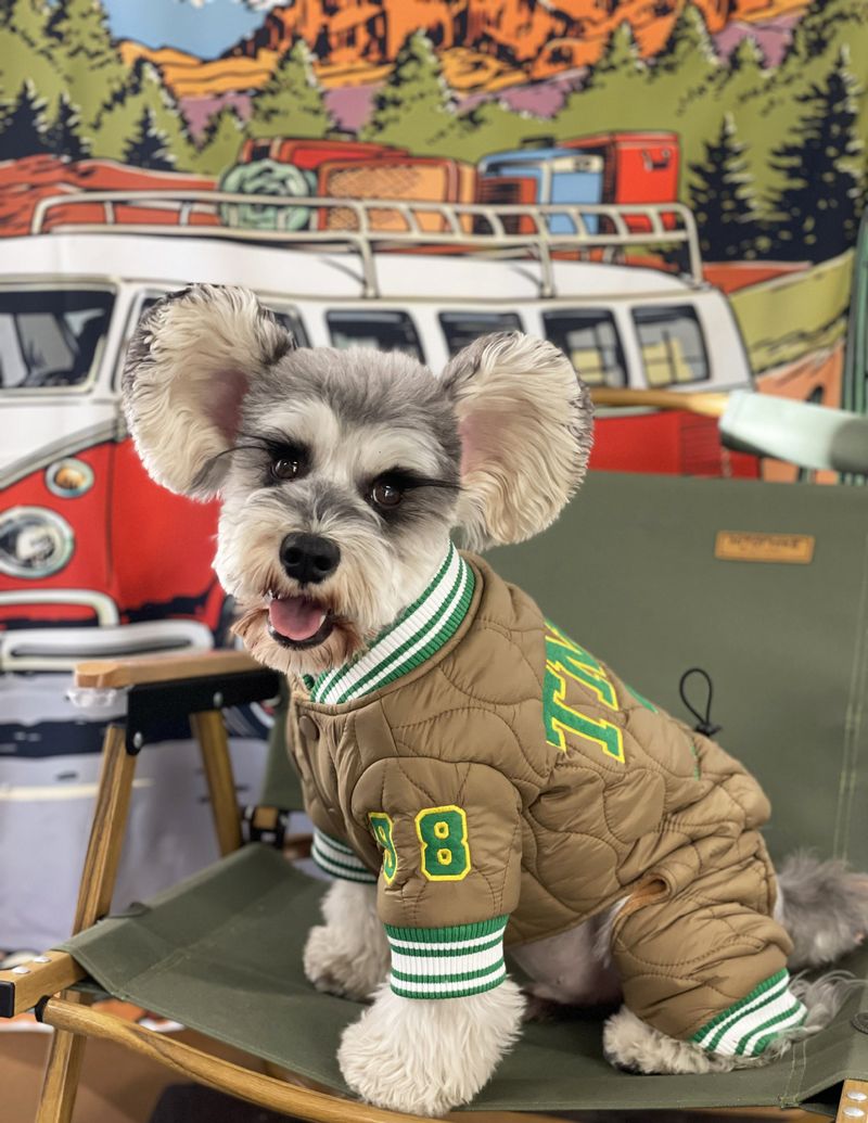 Hundkläder fyrbent bomullsrock tjock varm snygg Schnauzer Teddy Bichon Mops Shiba Inu basebolluniform trendig_voghion.com