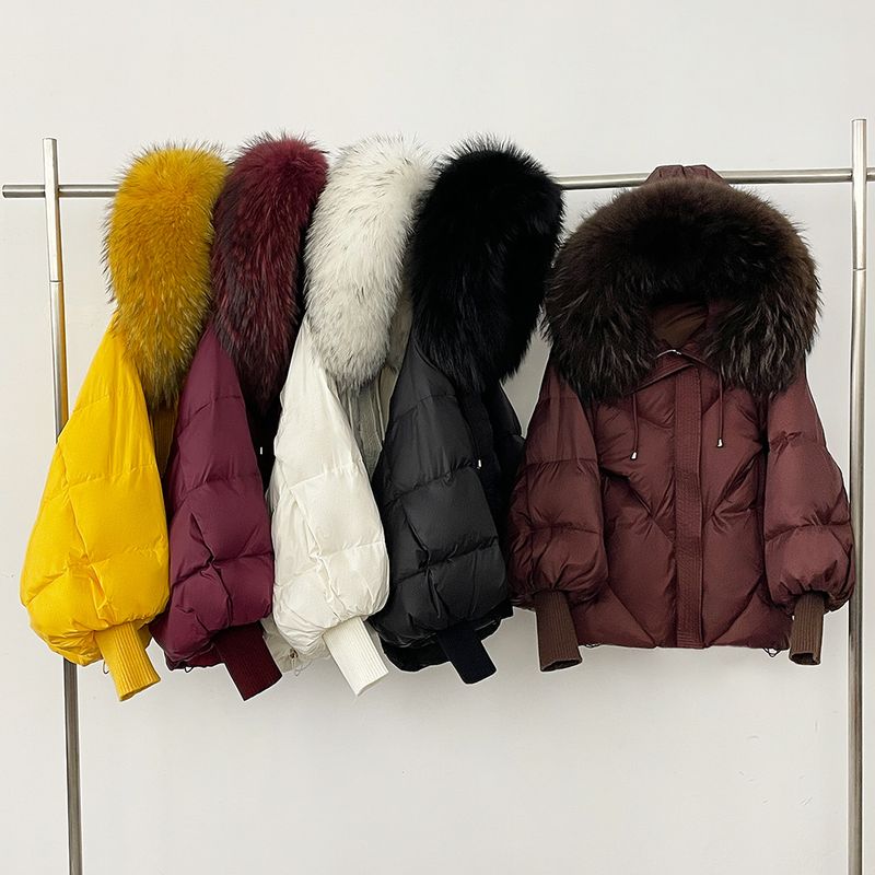 Piumino con cappuccio di alta qualità e finiture in pelliccia di procione - Giacca invernale da donna con maniche lunghe in maglia, vestibilità ampia e ultra calda, capospalla alla moda_voghion.com