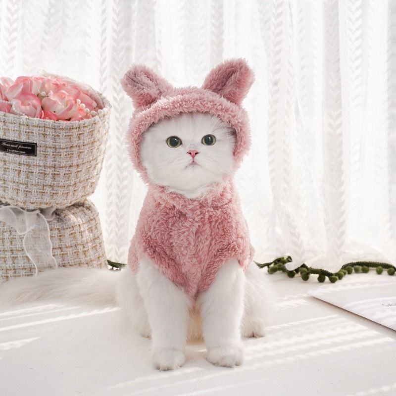 Fleecejacke mit Kapuze für Hunde, Winter, weich von PawParty Store_voghion.com