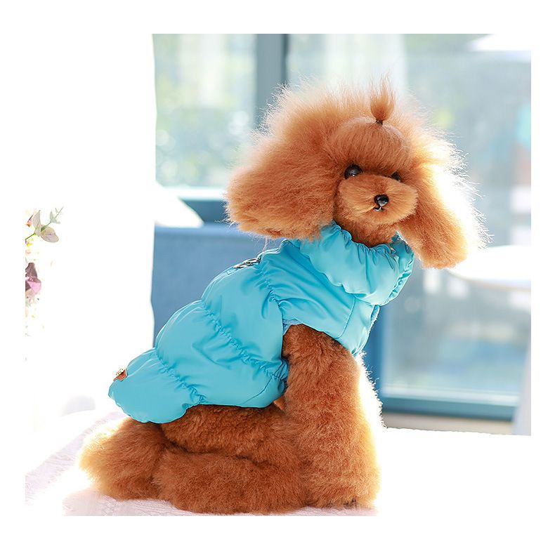 Winterweste für Hunde, warme Baumwolljacke mit Schnalle, Kleidung für zweibeinige Welpen, Haustierkleidung_voghion.com