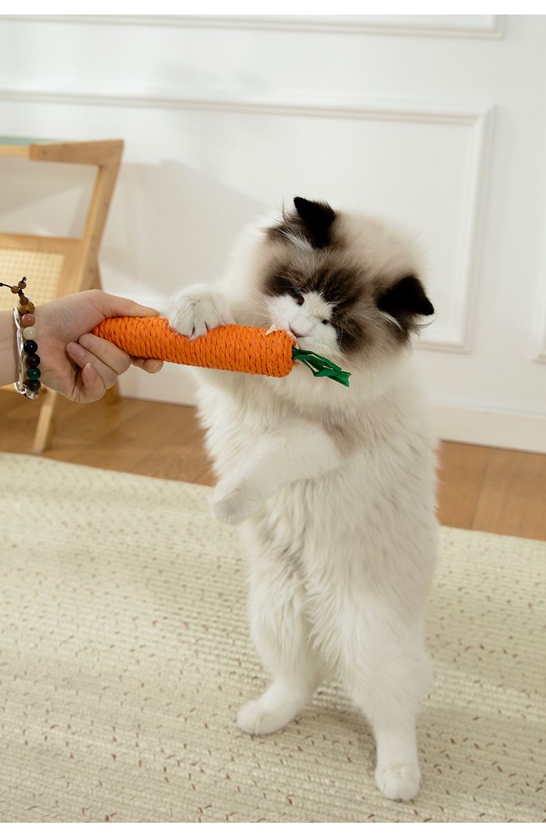 New Self Hi Cat Durable Bite and Noise Relieving Tool Pet Toy_voghion.com