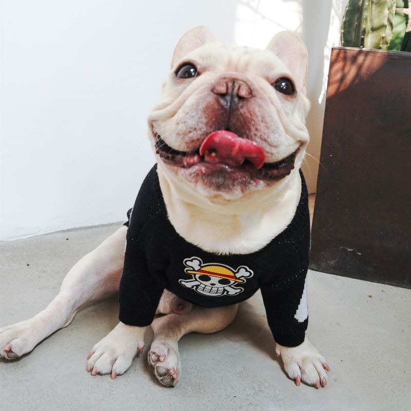 Maglione caldo in filato core-spun per cani, con teschio di Halloween, autunno e inverno, con simpatico bulldog francese e carlino._voghion.com