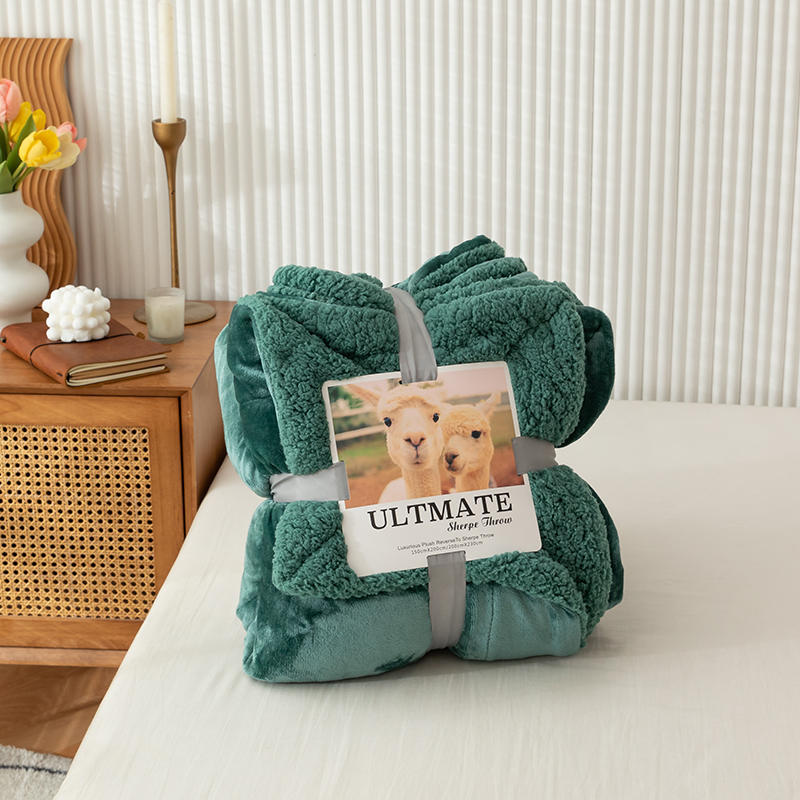 European and American trendy brand ins lamb plush blanket, crystal plush cover blanket, double layer blanket, coral plush four season blanket_voghion.com
