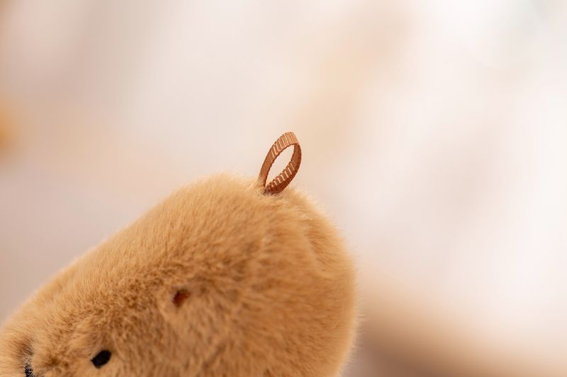 Stuffed Plush Animals Doll Small Potato Pickle Pillow Plush Toy Doll Sleeping Doll Girl_voghion.com