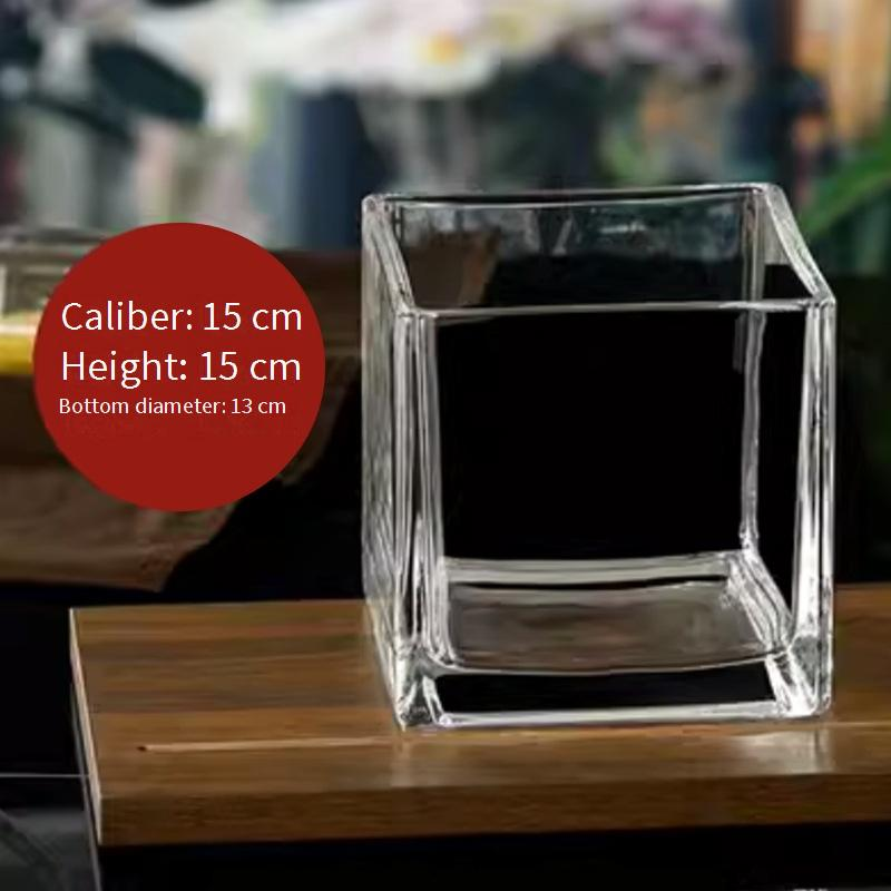 Home Decor Simple Hydroponic Vase Transparent Square Tank Water Growing Lily Tulip Daffodil White Palm Vessel Living Room Small Flower Pot_voghion.com