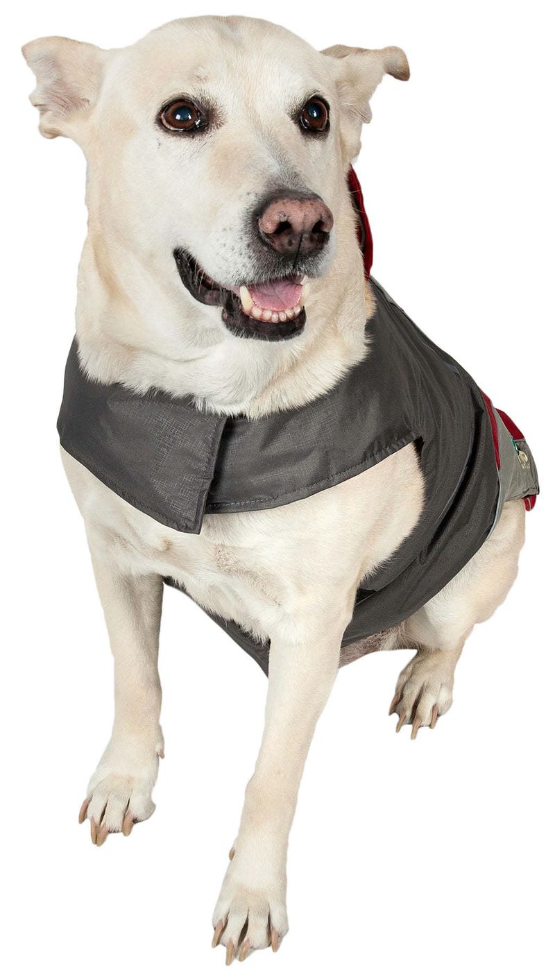 Helios Lotus-Rusher Waterproof 2-in-1 Convertible Dog Jacket w/ Blackshark technology_voghion.com