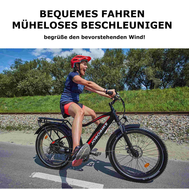 JOBOBIKE Robin 26'' Elektrofahrrad für Erwachsene 250W Bafang Motor 48V13AH_voghion.com