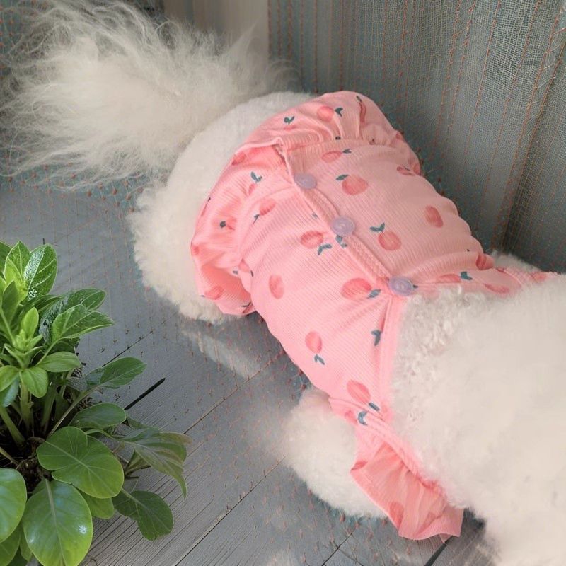 Robe Vêtements pour animaux de compagnie Printemps Automne Été Sangle Tasse à thé Bichon Teddy Chien Chat Princesse Gilet Mince Style_voghion.com