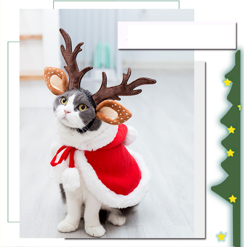 Cat Christmas Dress Little Red Riding Hood Cloak Cloak Pet baby cat Christmas New Year cloak puppy dog hat_voghion.com