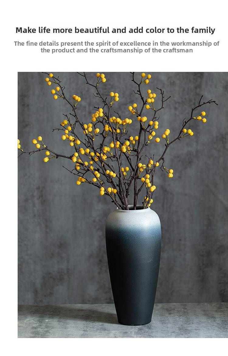 Vase élégant en céramique noir et blanc – Décoration hydroponique pour salon, bureau et chambre_voghion.com